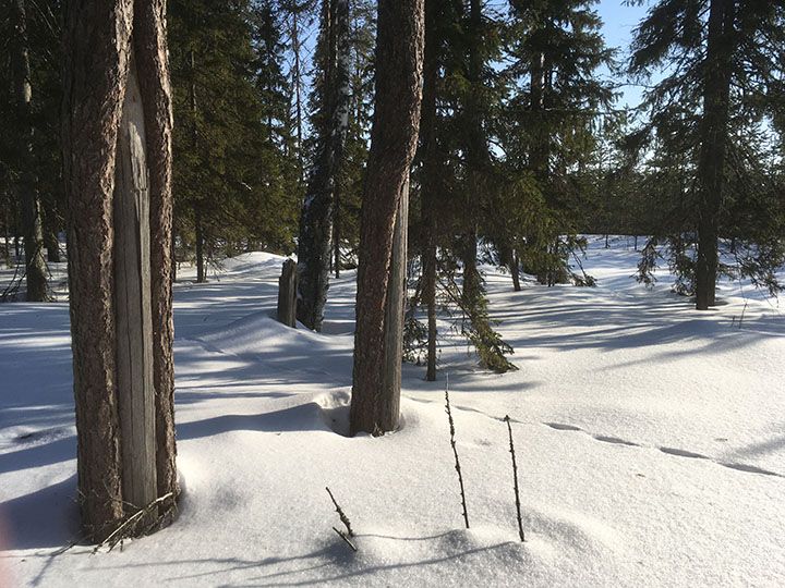 Luutupään kolomat. Kuva Jukka Höyhtyä.