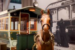 The museum visitors can board three trams, one of which is a horse-drawn one from the turn of the 19th and 20th centuries – even the horse from the museum’s earlier years is back! For the updated exhibition, all trams have been serviced and restored, and their accessibility and lighting have been improved. Photo: Maija Astikainen / Helsinki City Museum