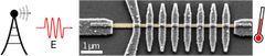 Mikroaaltoilmaisimesta elektronipiirtomikroskoopilla otettu kuva, jossa metallinen nanolanka on väritetty keltaiseksi ja muut osat ovat suprajohtavaa alumiinia. Fotonit saapuvat ilmaisimeen vasemmalta ja imeytyvät pitkään langan osaan. Tämä johtaa lämpötilan nousuun ja suprajohtavuuden heikkenemiseen langan lyhyissä osissa, jotka toimivat tämän ilmiön vuoksi herkkänä lämpömittarina. Kuva: Joonas Govenius.