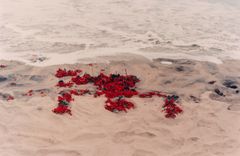 Ana Mendieta: Silueta Works in Mexico, 1973-1977/ Bild: HAM / Hanna Kukorelli