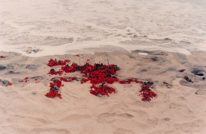 Ana Mendieta: Silueta Works in Mexico, 1973-1977/ Bild: HAM / Hanna Kukorelli