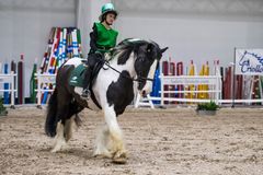 Helsinki Horse Fair -messuilla nähdään irlannincobeja ja monia muita rotuja. Kuva: Messukeskus.