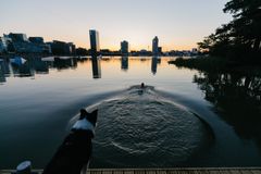 Photo: Antti Rastivo