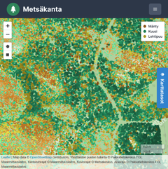 Metsäkannan karttanäkymä. Eri puulajit kuvattuna eri värein. Mitä pidempi puu on sitä tummempi ja suurempi yksittäinen väritetty ympyrä.