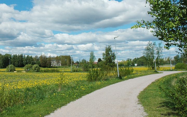 Malmin ja Pukinmäen yleisten alueiden suunnitelma koskee alueen katu- ja viheralueita.
