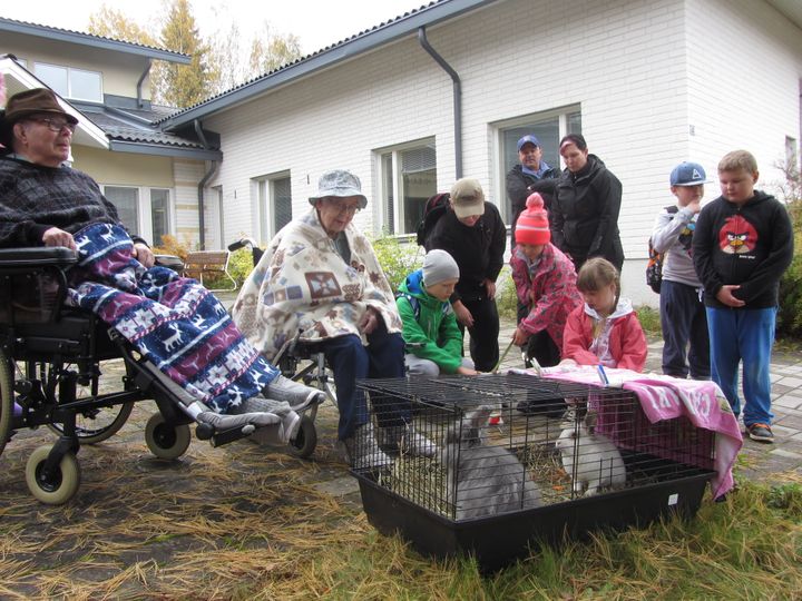 VOITTAJA Kissankello Sulkava:
Vuoden 4H-kerho -kilpailun voittajakerhon ansiosta vanhakin jo nuortui, kun 4H-lemmikkieläinkerho teki päiväretken Sulkavalla vanhusten palvelutalo Kissankelloon.