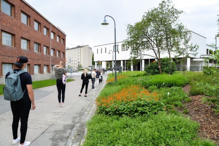 Viime kevään valintakokeisiin jonotettiin ulkona.