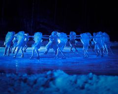 The Snow Queen ice ballet. Photo: Jouni Korhonen