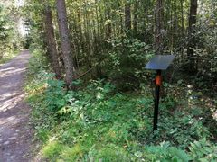 Pilvilammen retkeilyalueen Teemapolusta tulee Runopolku. Kuva: Vaasan kaupunginkirjasto.