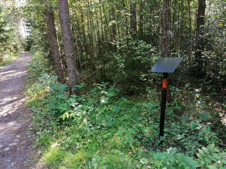 Pilvilammen retkeilyalueen Teemapolusta tulee Runopolku. Kuva: Vaasan kaupunginkirjasto.