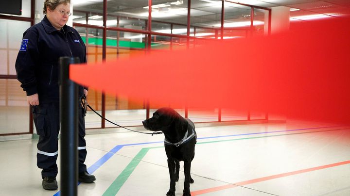 Tullitarkastaja ja tullikoira. Kuva: Marjaana Malkamäki