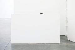 Andy Freeberg: Gladstone 2011 (Sentry), 300 ✕ 450 cm