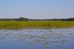 Valtakunnallisesti arvokas lintuvesi Tykölänjärvi on yksi Helmi-ohjelman kohteista Pirkanmaalla. Kuva: Marja-Liisa Pitkänen