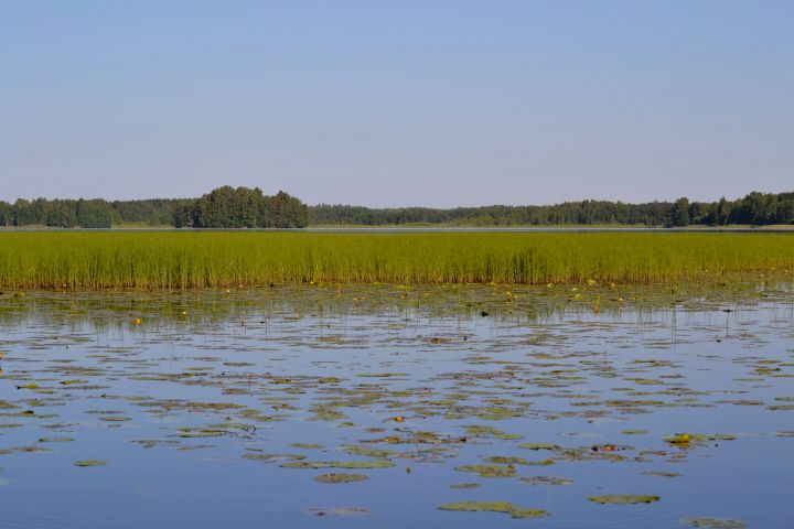 Valtakunnallisesti arvokas lintuvesi Tykölänjärvi on yksi Helmi-ohjelman kohteista Pirkanmaalla. Kuva: Marja-Liisa Pitkänen