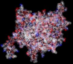 SHIP2-fosfataasidomeenin rakenne. (Kuva: Lehtonen Lab)