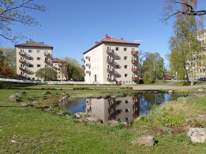 Pieni lampi Helsingin Annalanpuistossa. Kuva: Wenfei Liao