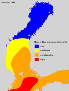 Risk of blue-green algae blooms in the Baltic Sea 2023. © Syke