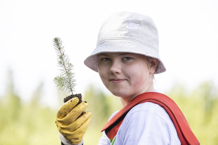 Taimiteossa nuoret istuttavat puun taimia alueille, jotka eivät ole olleet vuosiin maa- tai metsätalouskäytössä tai ovat poistuneet turvetuotannosta. Samalla Suomeen syntyy uutta hiilinielua. Kuva: Tiina Rinne.