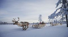 Joulun tunnelmaa Levillä. Break Sokos Hotel Levi.