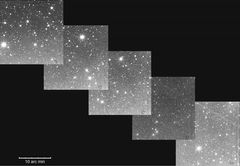 Kuva komeetan 17P/Holmes pölyvanasta on otettu Hankasalmen observatoriossa 14.2.2015. 
