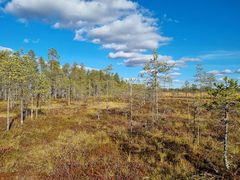 Kuva Pudasjärven suojelukohteesta. Kuva Heikki Leppänen.