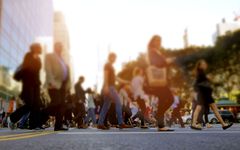Obesity epidemic results in Non-Alcoholic Fatty Liver Disease (NAFLD) becoming the most common cause of liver disease in Europe.