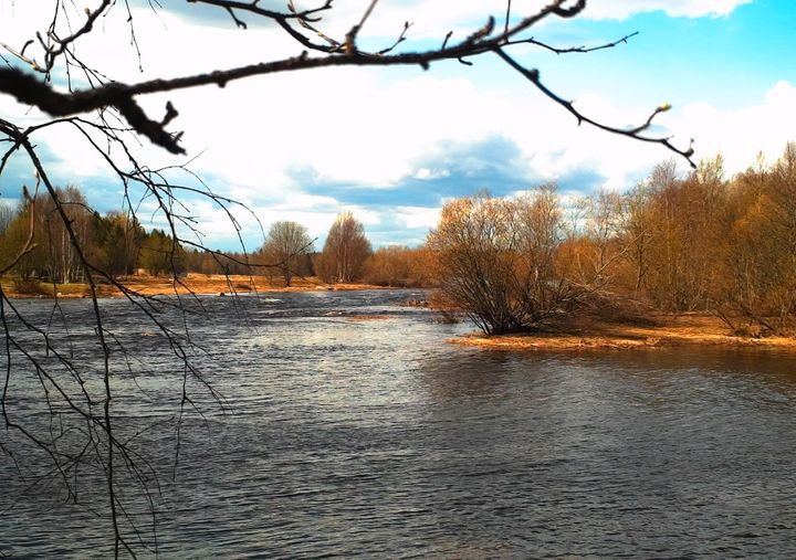 Tornionjoen tulvatilanne 22.5.2022 Oravaisensaaren alueella.