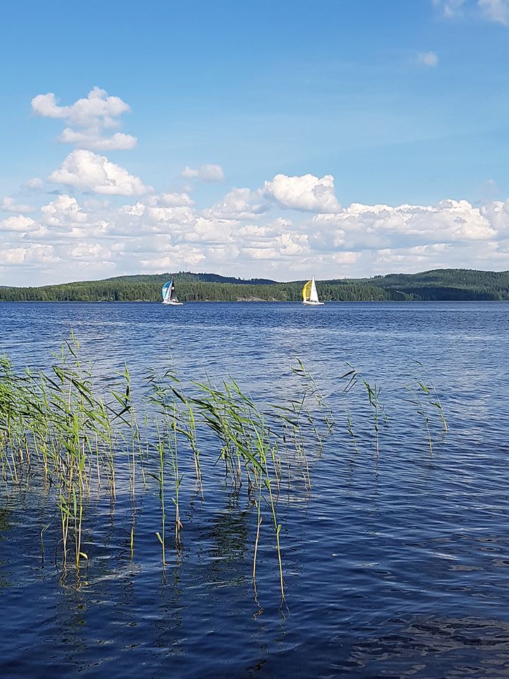 (Kuva: Anu Kettunen / Jyväskylän yliopisto.)