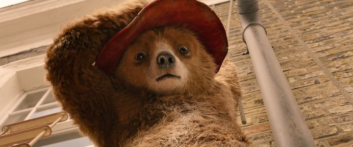 Paddington 2 (© 2017 STUDIOCANAL S.A.S.)