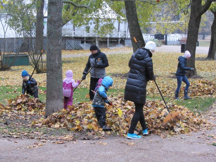 Haravointitalkoot Kaivopuistossa. Kuva: Riitta Partanen.