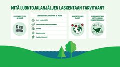 Jyväskylän yliopiston tutkijat ovat kehittäneet mittarin yritysten luontojalanjäljen laskemiseen.