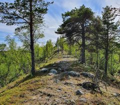 Inarin Vuobmaveäijohkan (12148234) pohjavesialueen harjuselänne. Kuva: Aleksi Tuunainen