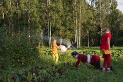 Aidatut unelmat -esitys kulkee puutarhasta toiseen Kaarelassa. Noin 80 vapaaehtoista on mukana esiintymässä. Kuva: Jouni Ihalainen, 2017.