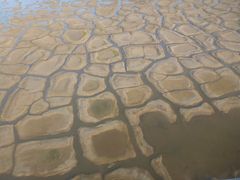 Ilmasta kuvattuja sulavia jääkiilapolygoneja arktisessa Alaskassa. Kuva: Benjamin M. Jones