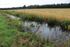 Ojitusten kunnostukset lähtevätkin liikkeelle yleensä siitä, kun vesi makaa ojissa ja pelloilla. Kuvituskuva.