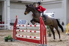 Horse Fair -messuilla nähdään monia estekisoja. Kuva: Messukeskus