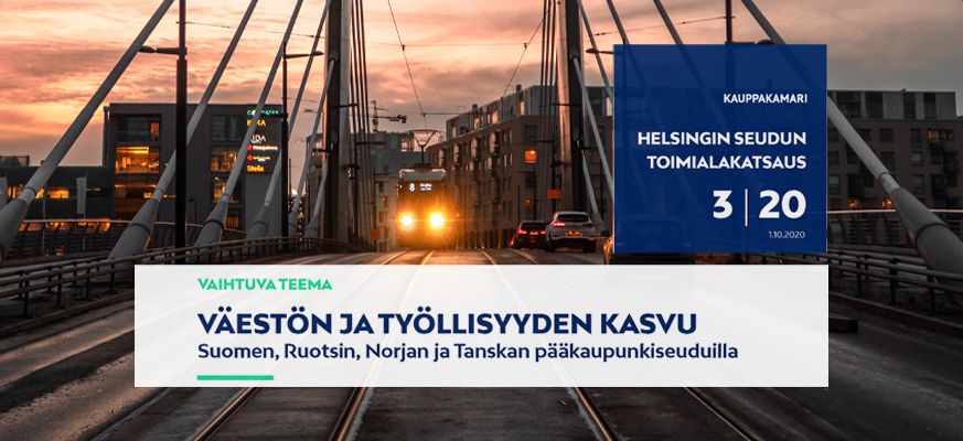 Helsingin seudun kauppakamarin toimialakatsaus 3/2020