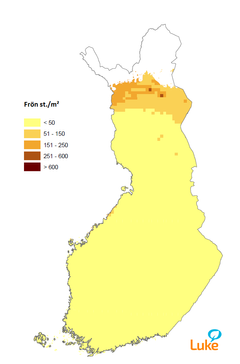 Figur 2. 
Prognos för granens fröskörd för våren 2016  på basis av antalet kottar.