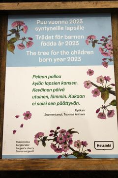 Lasten puu merkitään omistuslaatalla ja kirjataan erityistunnuksella kaupungin puurekisteriin. Kuva: Sari Knuuti.