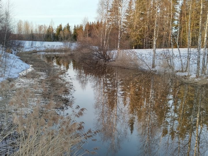 Rakkolanjoella lunta on vielä paljon. Kuva Sirpa Skippari.