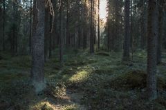 Kuva: Julia Hautojärvi/Maanmittauslaitos