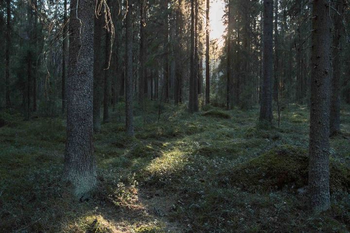 Kuva: Julia Hautojärvi/Maanmittauslaitos
