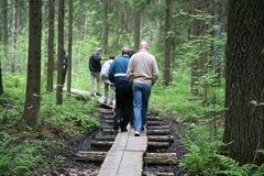 Ulkoilijoita vaeltamassa Keskuspuistoon kuuluvassa Haltialassa