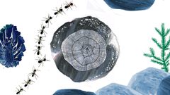 The library facilities are livelier thanks to the wonderful nature-themed illustrations by Kirsti Maula. Photo: City of Helsinki