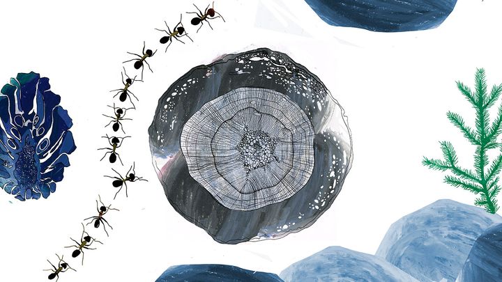 The library facilities are livelier thanks to the wonderful nature-themed illustrations by Kirsti Maula. Photo: City of Helsinki