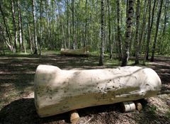 Mahtavat puusohvat odottavat istujia Pornaistenniemen koivikossa. Ne on tehty pajusta (Salix) ja löytyvät Luonnon syli -polun varrelta. Kuva: Leena Junnila.