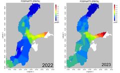 Pintakerroksen fosfaattipitoisuus talvella 2022 ja talvella 2023.