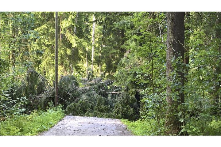 Kiira-myrskyn aiheuttamia vahinkoja Keskuspuistossa elokuussa 2017.