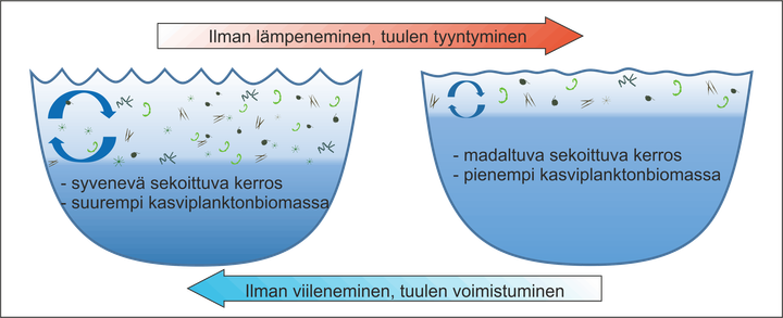 Ilman lämmetessä järviveden sekoittuva kerros madaltuu ja kasviplanktonin määrä pienenee. Kuva: Salla Ahonen.