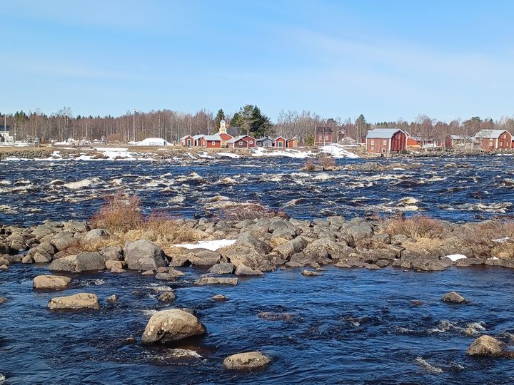 Tornionjoen Kukkolankoski 9.5.2023. Kuva: Lapin ELY-keskus
